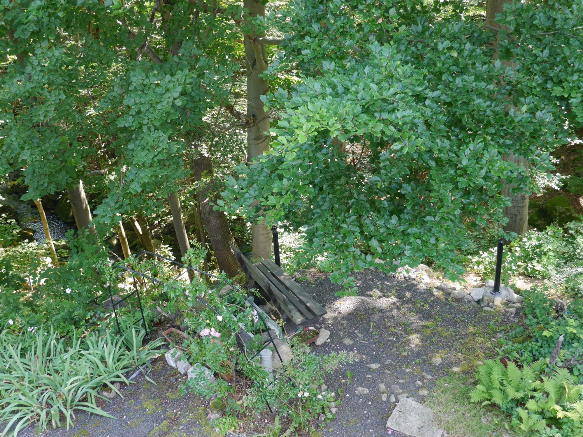 Apartment Dworek Dla Alergikow 